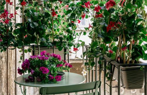 Corte Cenci House - Foto 21