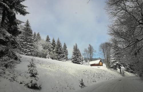 Sowi Dom - Jugów - Foto 42