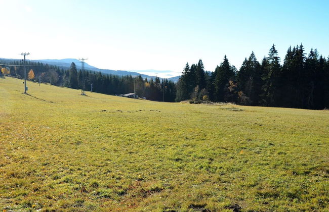 Cozy Forest Adventure Stay - Foto 30