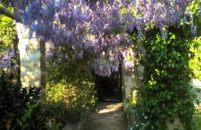 Casale del Forno - Foto 36