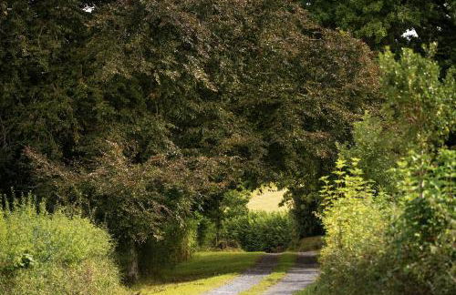 West Cottage - Foto 58