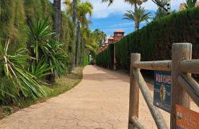 Hello Cosmo - Photo 40