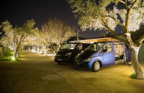 Apartments Tina FREE transfer from-to the airport - Foto 36