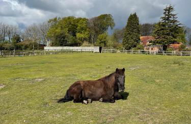 Wynards Farm Sunset room - Photo 10