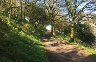 Pilchards Cottage - Foto 55
