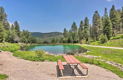 Casa Verde Cabin with Fire Pit 4 Mi to Ski - Foto 22