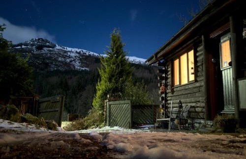 An Carraig Log Cabin - Photo 2