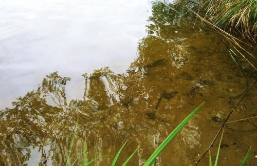 Villa Grunwald - Foto 27