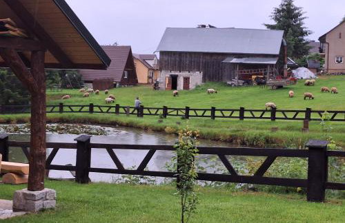 Domki Nad Liliowym Stawem - Photo 27