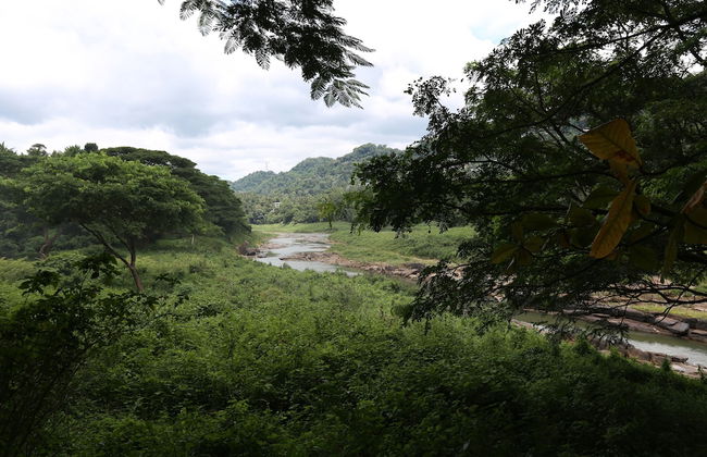 Riverside Homestay Apartments - Foto 22