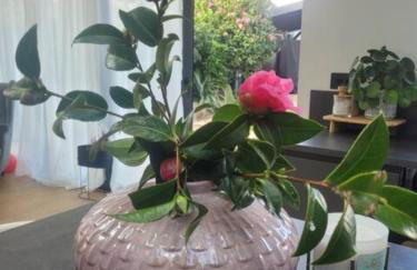 Open Mind Property - Escape to the New Forest Edge - Foto 16