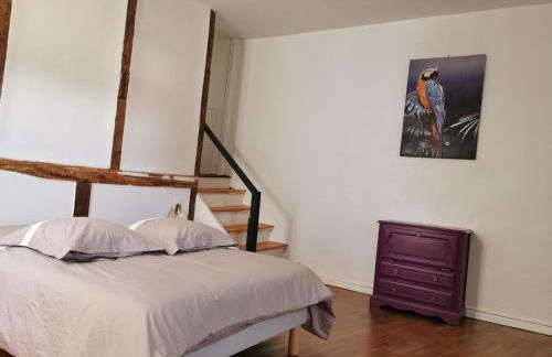 Lectoure centre Historique - Photo 3