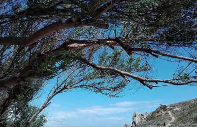 Home La Bufera - Foto 56