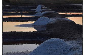 La Coquette du Marais - Photo 36