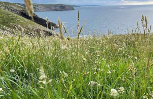 Encuentra el norte en la "Casa del buen camino" - Foto 25
