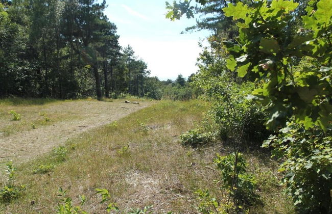 Quaint Holiday Home in Bergen aan Zee near Sea - Photo 41