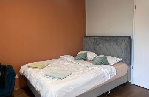 Bright new studio 43m2 with a beautiful garden - Photo 9