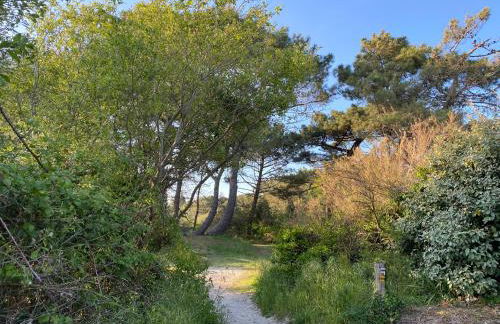 Pleine vue mer et plage - Foto 20