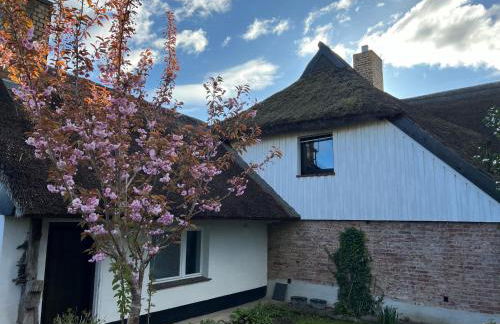 Tiny House Ostsee # Naturwerk - Foto 59