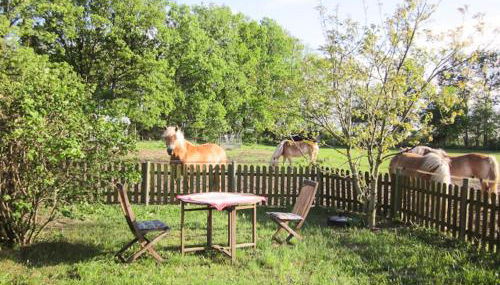 Haflingerhof Heed - Foto 3, Garden