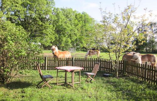 Haflingerhof Heed - Foto 3