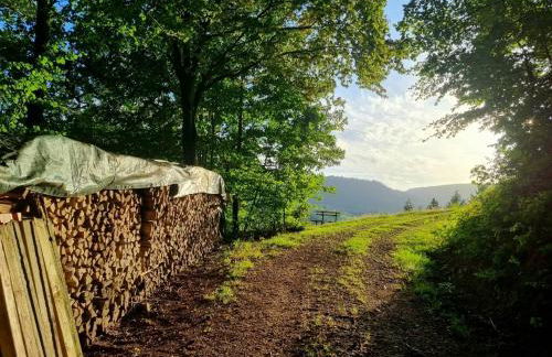 Ferienwohnung Panter- Traumaussicht im Schwarzwald - Foto 17