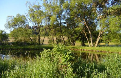 Dog-friendly Holiday Home in the Knull - Foto 61