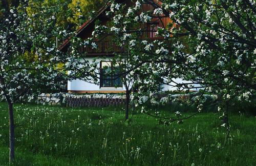 Ferienhaus zur Thusstrasse - Foto 11