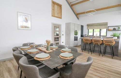 Barcud Coch - Red Kite - Photo 13