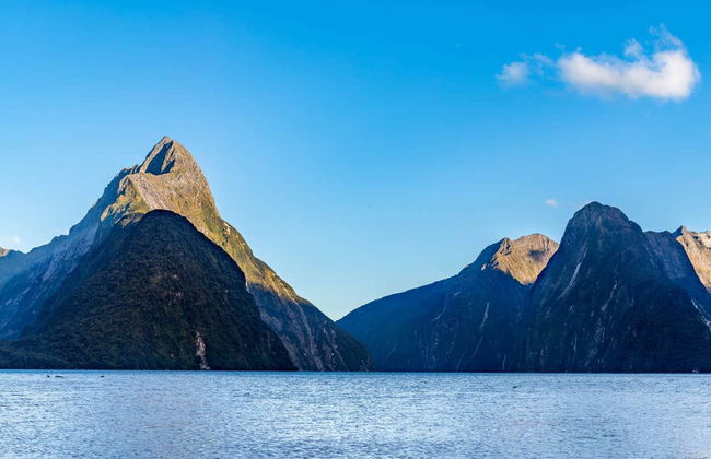 Excursion dans le fjord Milford Sound - Photo 5