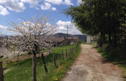 Il Mandorlo - Photo 8