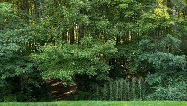 Alumni Corner - Foto 4