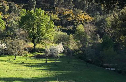 Casa do Ouriço - Foto 49