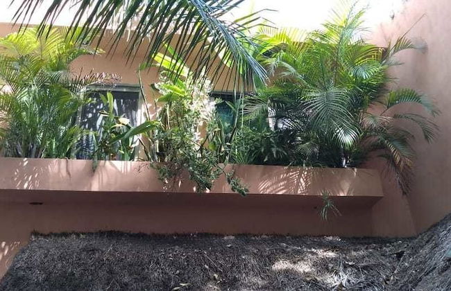 Xtansia Pakal - Foto 23