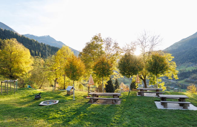 Aragon P36 - Foto 29