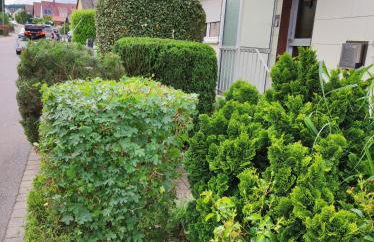 Ferienappartement Obrigheim - Foto 30