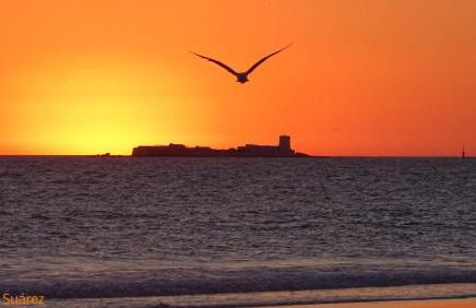 Apartamento Residencial Al Andalus 117, La Barrosa, Chiclana, Incluye parking a unos metros del mar - Foto 33