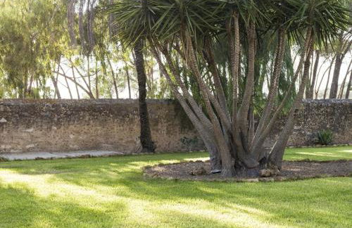 Wine Relais Feudi del Pisciotto - Foto 110