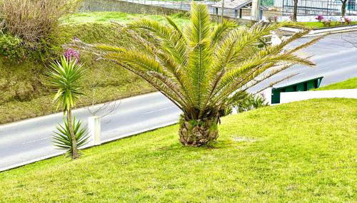 Casa Quinta das Férias - Photo 4