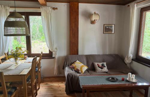 Chatka Poddębie - Foto 12