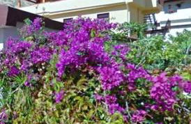 Apartment with Sea View, Lido Rossello - Foto 29