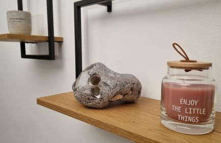 Ferienhaus Rehblick - direkt in der Natur, mit Lesezimmer und zwei Terrassen - Foto 21