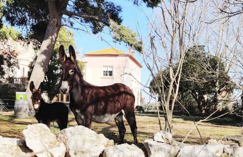 Au cœur de la Nature - Foto 1