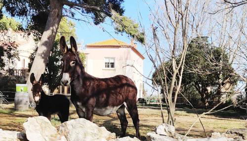 Au cœur de la Nature - Foto 1