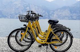 Villa Mimosa-Con piscina e vista lago - Foto 26