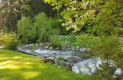 Apartamenty u Sikory - Foto 9