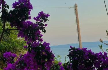 A Fringe Of Blue - Foto 71