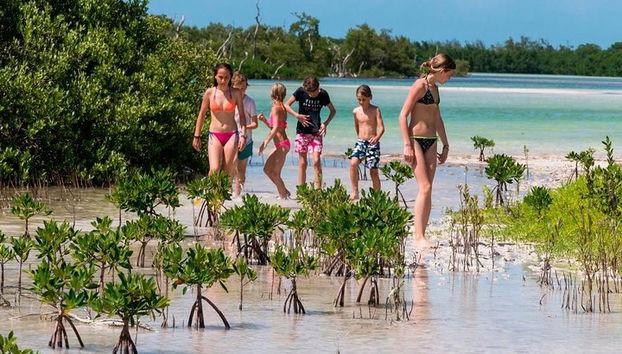 Ganztägige Tour nach Holbox und Passion Island mit Cenote, Transport und Mittagessen - Foto 2, Passion Island Natur