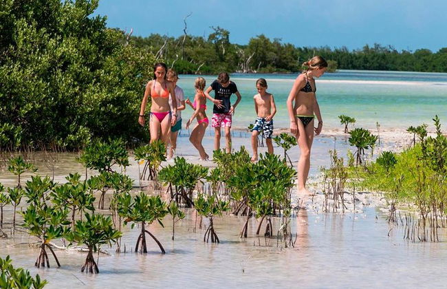 Ganztägige Tour nach Holbox und Passion Island mit Cenote, Transport und Mittagessen - Foto 2