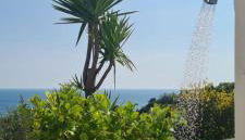 Casa Colomba Sant'Angelo - Foto 5, Garden